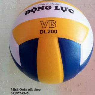 Bóng chuyền Động lực DL200