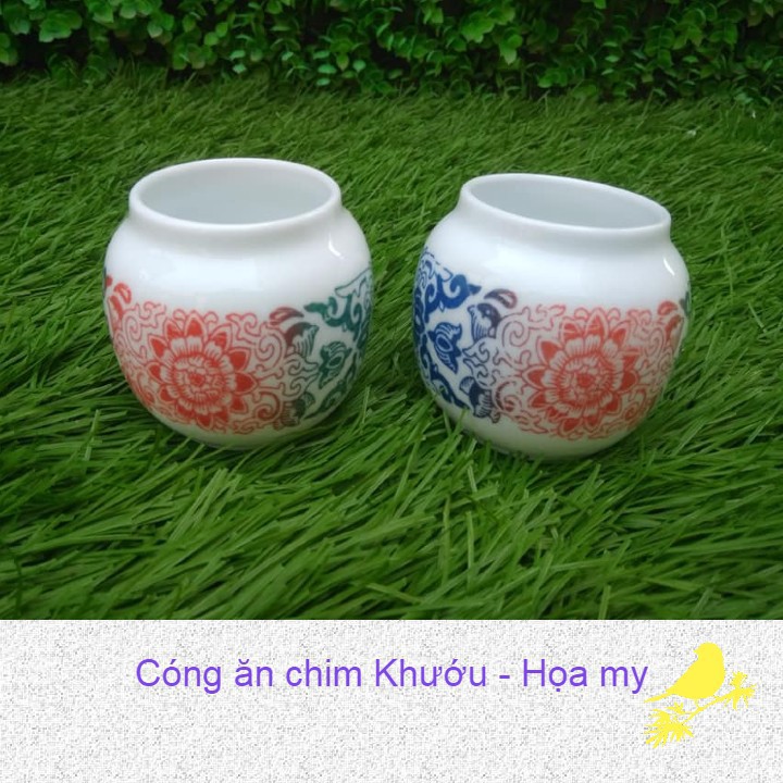 Cóng ăn cho chim khướu, họa my