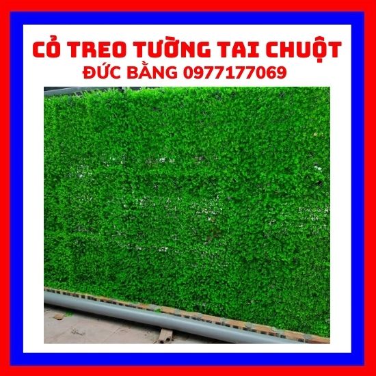 Cỏ treo tường tai chuột trang trí  kt 40 x60 Cỏ nhựa nhân tạo dán tường trang trí decore