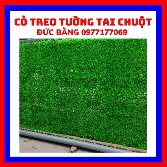 Cỏ nhân tạo treo tường tai chuột  trang trí  kích thước  rông  40* dài 60 /tấm