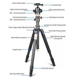 Chân Máy Ảnh Tripod Beike Q-996H HL Studio