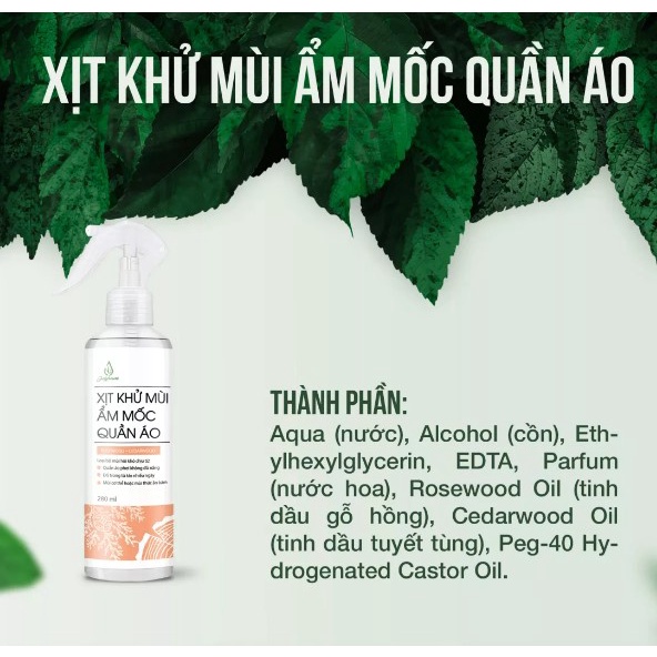 Gel nhiệt miệng Kamizetap giúp nhanh lành vết nhiệt miệng, giảm sưng đau (Tuýp 10gr)