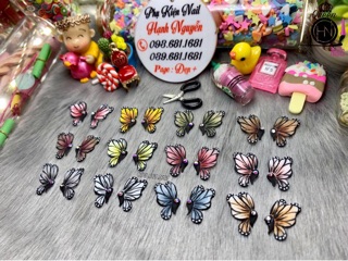 Bướm Bột set 2 con 30.000