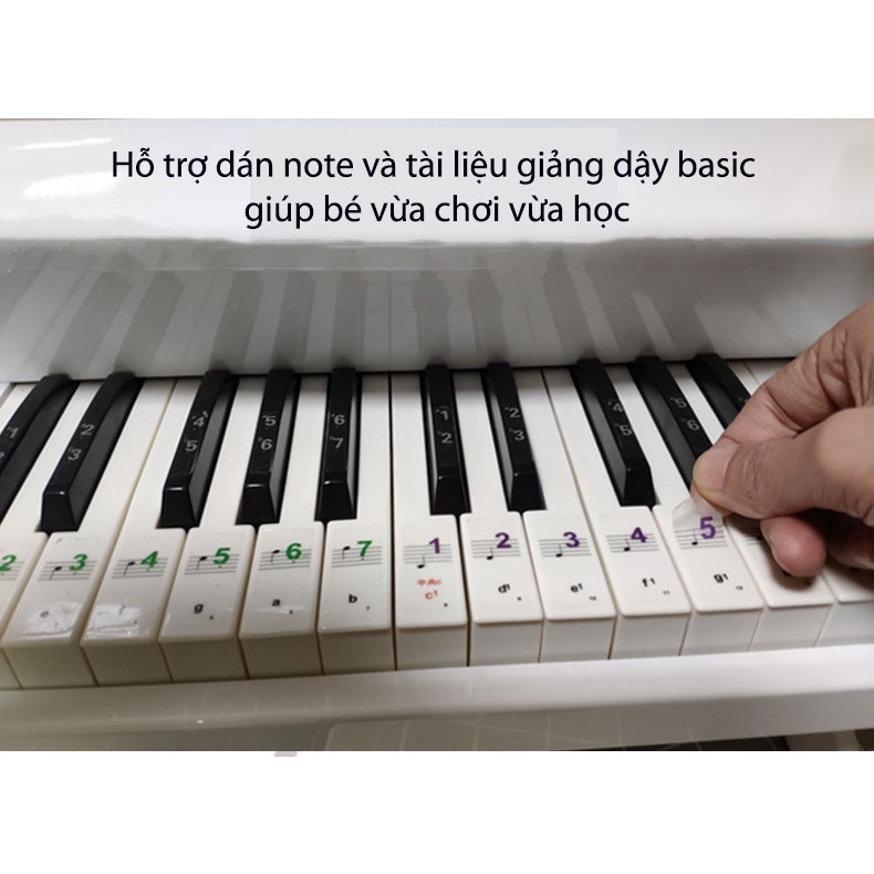 Piano mini 25 phím cao cấp, Piano điện tử Đàn ORGAN 25 phím Piano - Âm thanh chất lượng như đàn chuyên nghiệp