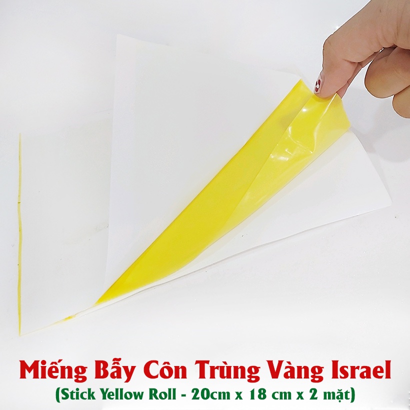 Miếng bẫy côn trùng vàng Gadot Israel siêu dính, hiệu quả 4-6 tháng kích thước 18x22cm