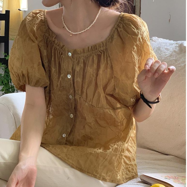 Áo Sơ Mi Nữ Tay Ngắn Ngọt Ngào Thanh Lịch Phong Cách Hàn Quốc 53219