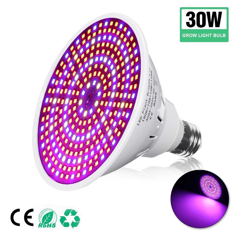 Đèn trồng cây E27 công suất 30W hỗ trợ trồng cây trong nhà