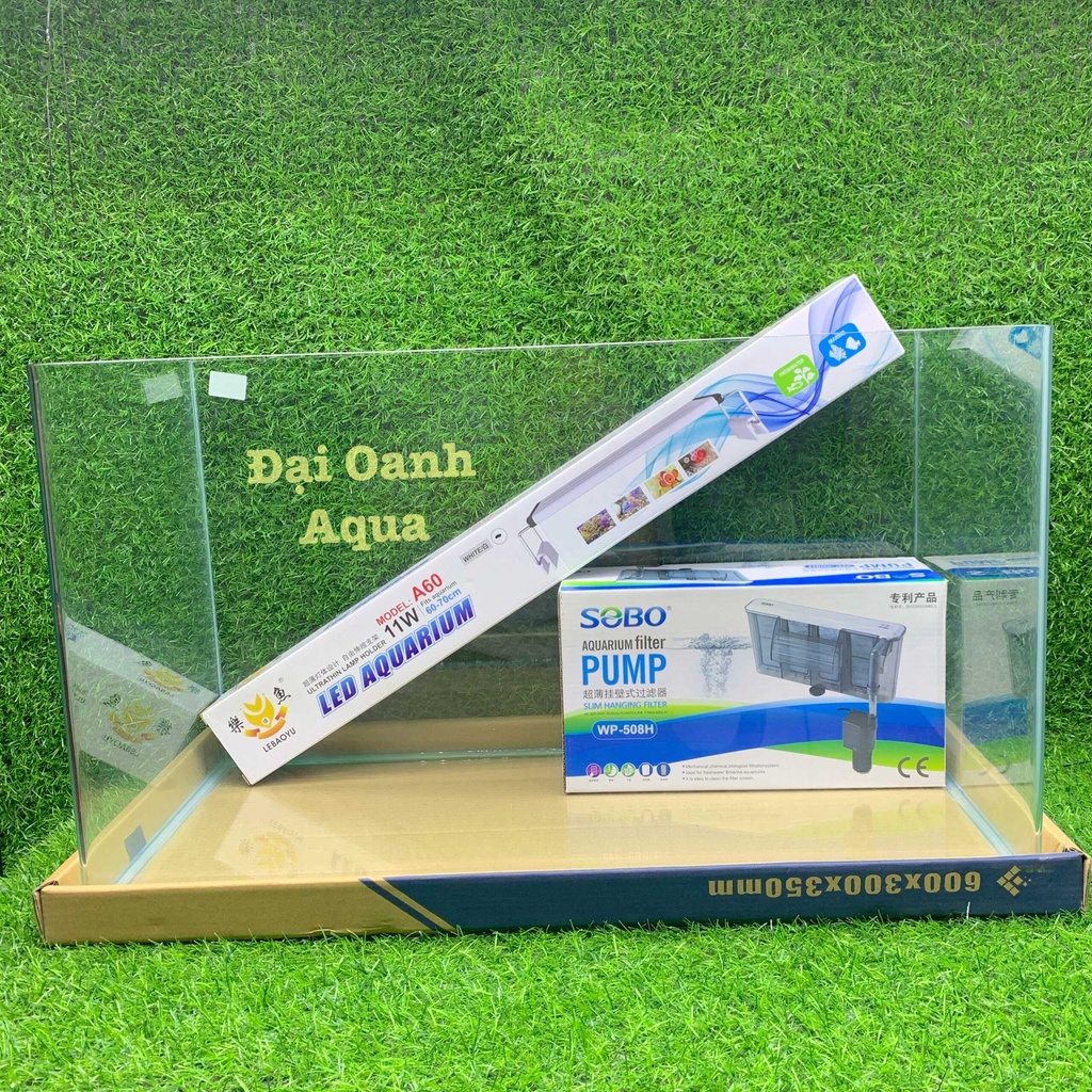BỘ Bể Cá Kính Đúc 60cm , Dài 60cm Rộng 30cm Cao 35cm - Chỉ ship hoả tốc Hà Nội