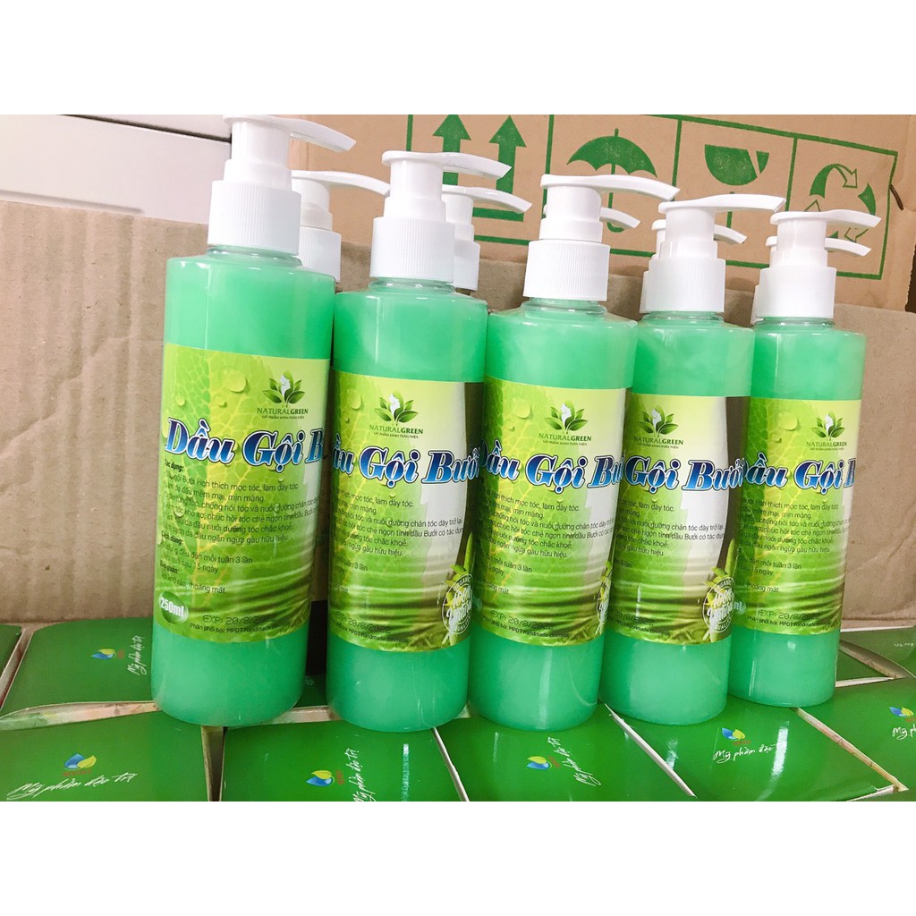 (250ml) Dầu Gội Đầu Hương Bưởi kích thích mọc tóc dài, dày, chắc khỏe.