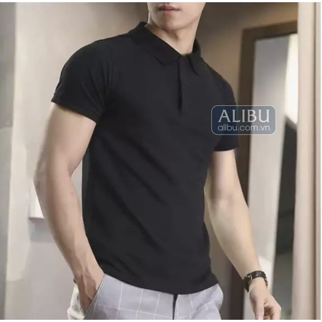 Áo Thun Nam CAO CẤP , Áo Polo NAM Cổ Bẻ Dáng Ôm nhé hàng vnxk | BigBuy360 - bigbuy360.vn