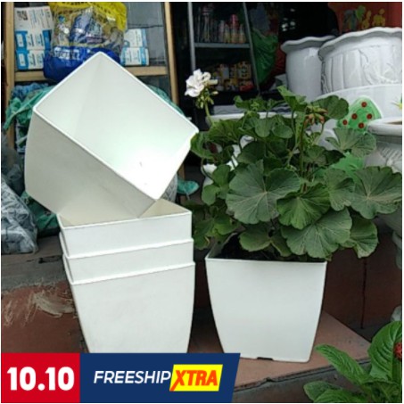 Chậu nhựa vuông V16 trồng hoa cây cảnh văn phòng  hàng loại 1 KT 16x16x16cm.