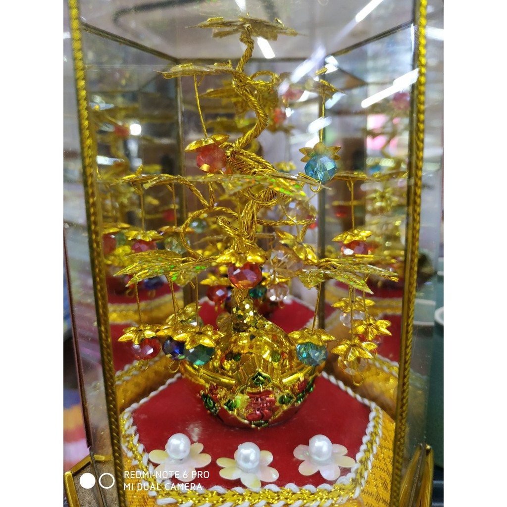 Cây Như Ý Phong Thủy May Mắn