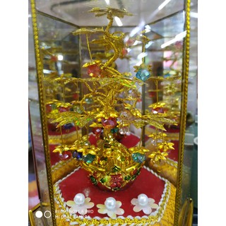 cây như ý phong thủy