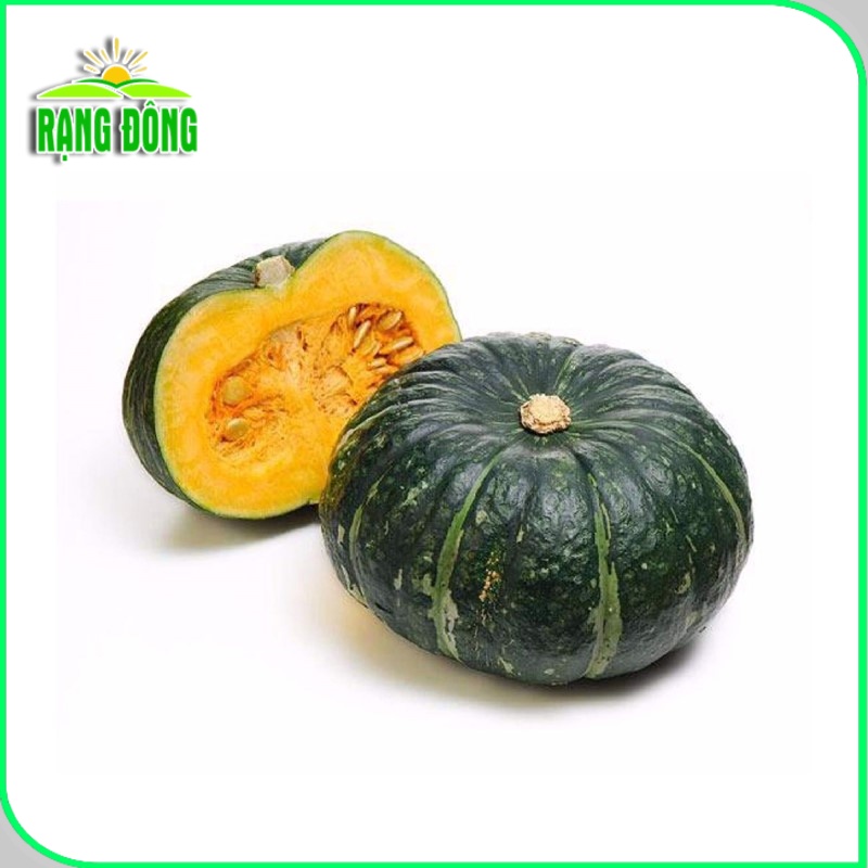 Hạt giống Bí Đỏ Nhật lai F1 dễ trồng, trái to, thịt dày, thơm, ngon (gói 5 hạt) - Hạt giống Rạng Đông