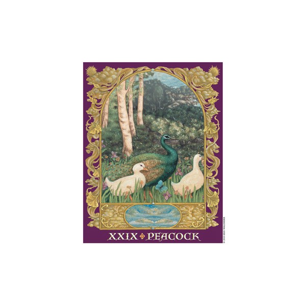 Bộ Bài Sacred World Oracle (Mystic House Tarot Shop) - Bài Gốc Authentic Chính Hãng 100%