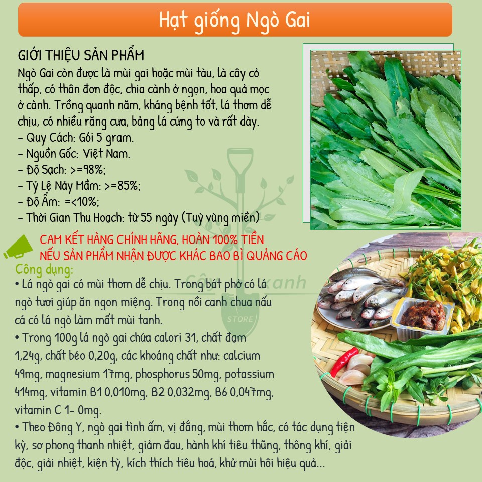Hạt Giống Ngò Gai  Dễ Trồng, Thơm 5Gr - Phú Nông Seeds - Key: Đất sạch, Phân Bón, Hữu Cơ, Xơ Dừa