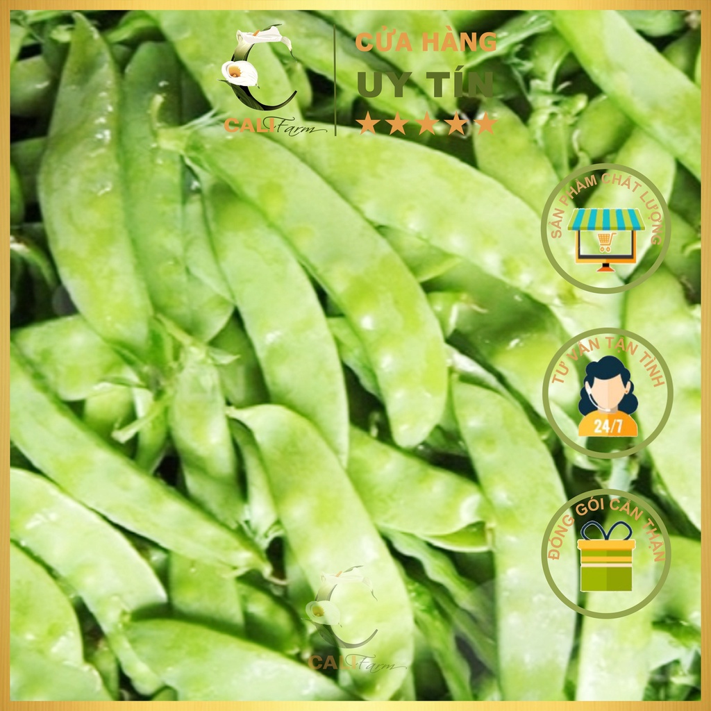Hạt Giống Đậu Hà Lan  Rado 939 gói 20gr Dễ Trồng, Ăn Ngon Ngọt