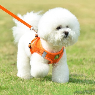 Vật Nuôi Lưới Thoáng Khí Nhiều Màu Sản Phẩm đi Chơi Cho Mèo Và Chó Đi Chơi Thắt Lưng Thời Trang Dây đeo áo Phản Quang Dây đeo Ngực + Bộ Dây Kéo