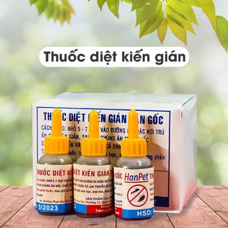 Thuốc diệt kiến gián