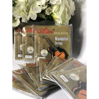 Dây đàn Mandolin alice AM05