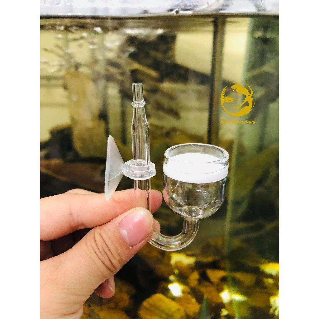 Cốc sủi CO2 thủy tinh tròn - 3 vòng xoắn