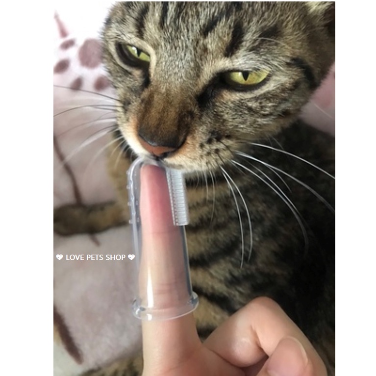 Bàn chải đánh răng cho Chó Mèo bằng Silicon xỏ ngón - Love pets shop