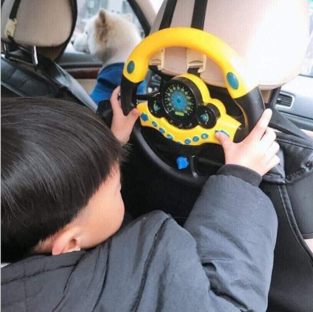 Vô lăng lái xe hơi trẻ em
