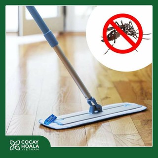 NƯỚC LAU SÀN Cỏ Cây Hoa Lá( xua đuổi côn trùng)
