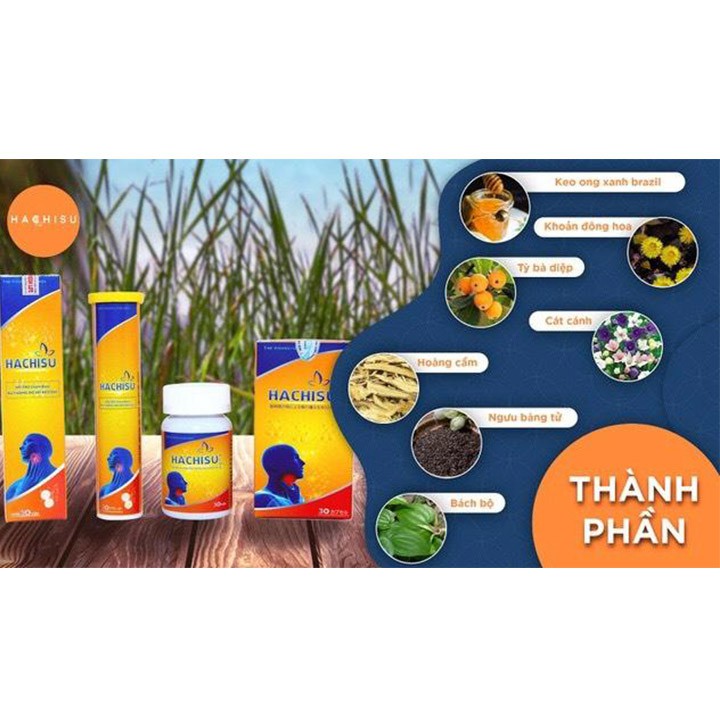 Viên uống HACHISU PLUS ❤️[ CHÍNH HÃNG ] ❤️ giúp giảm viêm họng , viêm amidam Hộp 60 viên