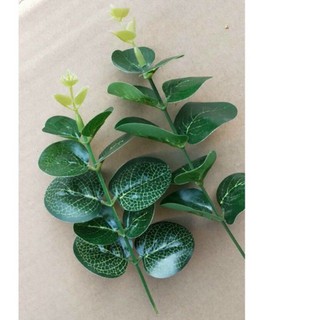 Phụ kiện chụp ảnh, trang trí