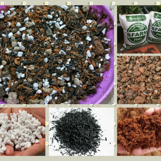 1kg - Đất trồng trộn sẵn chuyên trồng sen đá - xương rồng và cây mọng nước, thoát nước tốt, nhiều dinh dưỡng.