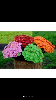 Hoa cúc hoạ mi handmade