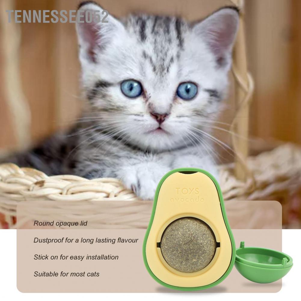 🌷Hàng HOT Bóng đồ chơi gắn tường đựng cỏ bạc hà cho mèo mài răng sáng tạo làm sạch răng xoay Hình dạng quả bơ 【Tennessee052】