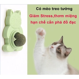 Catnip Viên Cỏ Bạc Hà Cho Mèo Gắn Tường Giảm Stress, Dạng Xoay Gắn Tường Có Nắp