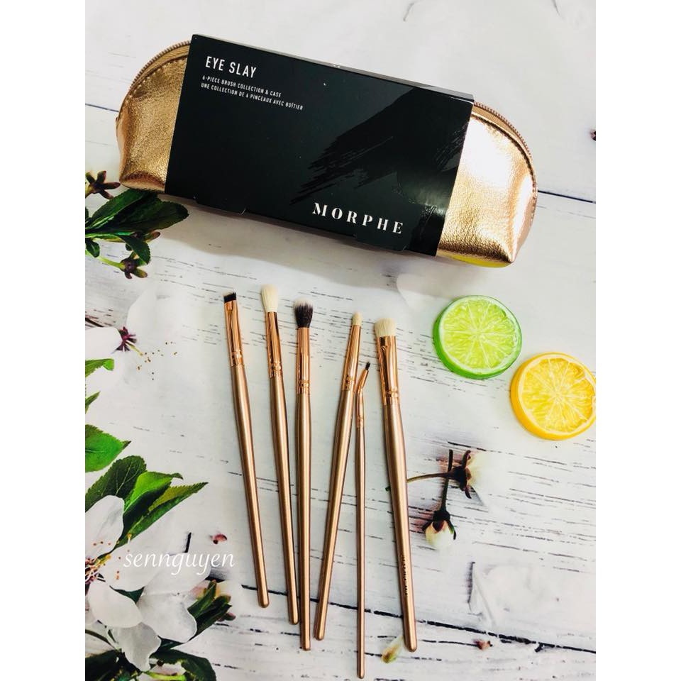 Bộ cọ Morphe Eye Slay Brush Collection (Set 6 cây +bóp đựng cọ)