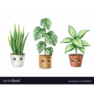 Chậu búp bê size lớn