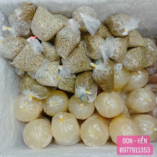 Don Quảng Ngãi