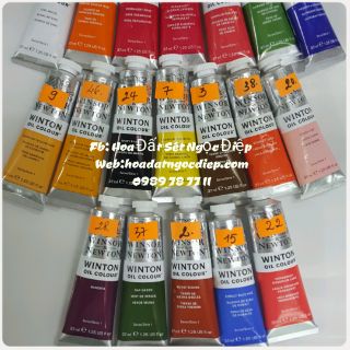 MÀU WINTON 37ML(1 TUÝP)