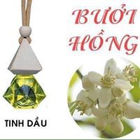 Tinh dầu treo xe ô tô nguyên chất hương Quế thơm xe khử mùi chống say