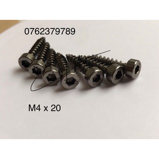 Vít bắt loa đầu lục giác mạ niken hàng chuẩn M4 x 20( 20 con)