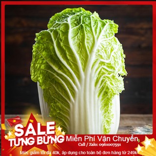 Hạt Giống Cải Thảo