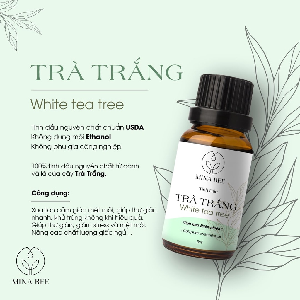 Tinh dầu Trà Trắng MinaBee | White Tea Essential Oil | Cao Cấp Nhập Khẩu | Thiên Nhiên Nguyên Chất |Có Kiểm Định COA