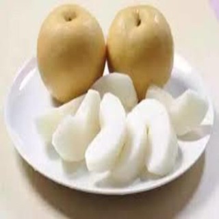 Cây giống Lê nâu (Mắc cọp) Cây giống chuẩn cho năng suất cao