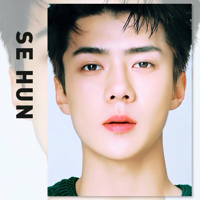 [Order]Tranh tô màu theo số sơn dầu số hóa Oh Sehun EXO