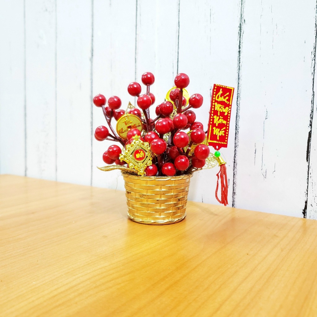Chậu đào đông nhí cao 15cm để bàn trang trí tết