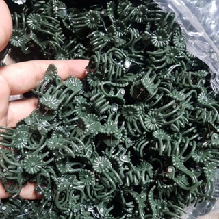 Kẹp bướm cố định hoa lan các size: nhỏ, trung, đại.