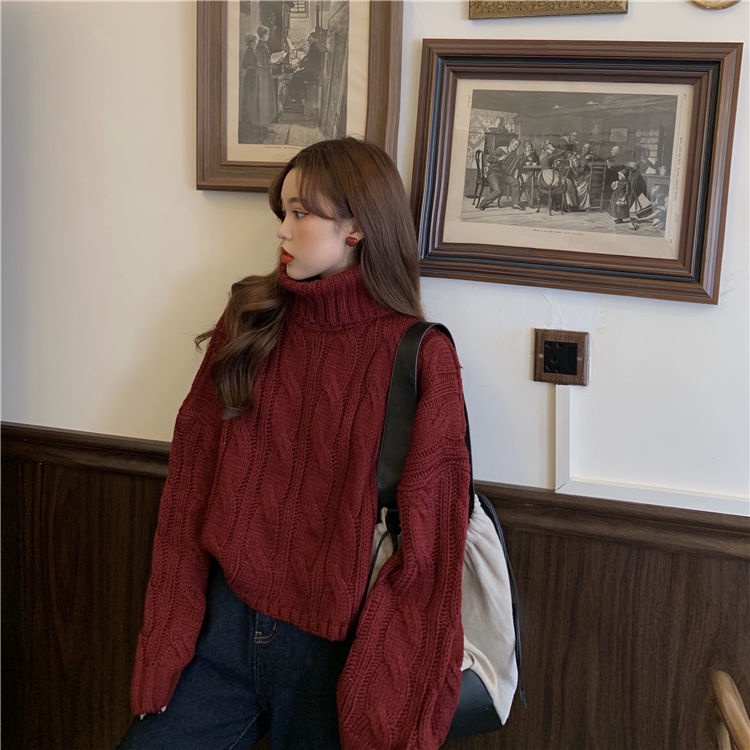 Áo Sweater Tay Dài Cổ Cao Dáng Rộng Phong Cách Hàn Quốc Thời Trang Thu Đông Mới  Cho Nữ