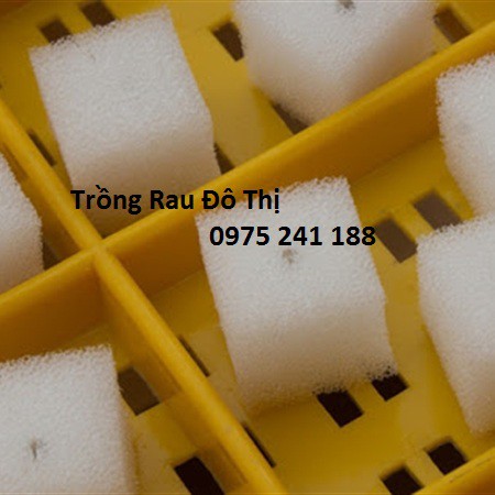 96 viên mút xốp ươm hạt kích thước 25 x 25 x 25mm trồng rau thủy canh, hàng nhật chất lượng cao