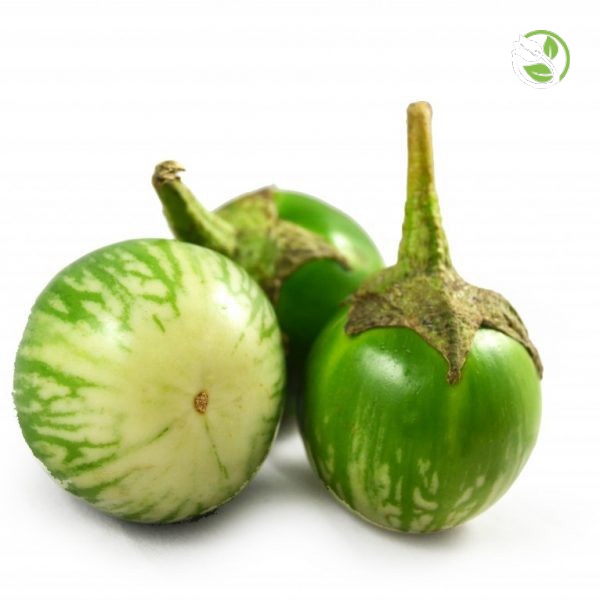 Hạt Giống Cà Dĩa Cao Sản PN-121 Phú Nông - Gói 0.5g