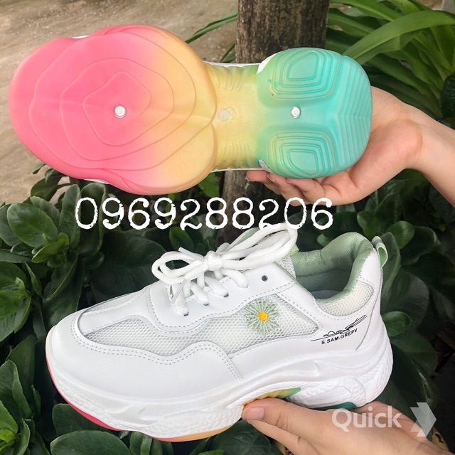 Giày sneakers thể thao ⭐️FREESHIP⭐️ giày nữ phối lưới  thoáng khí hoa cúc độn đế cầu vồng, tăng chiều cao